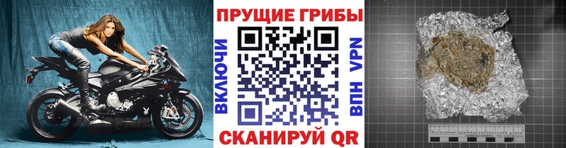 Псилоцибиновые грибы Psilocybe  Саянск 